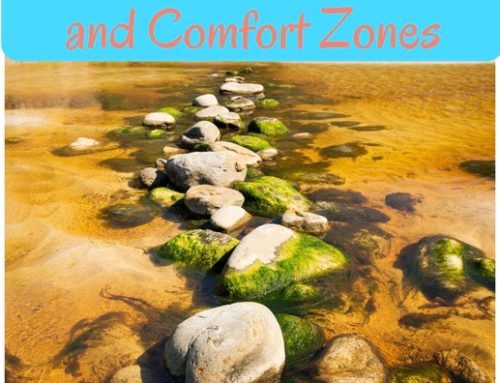 Stepping Stones and Comfort Zones For Young Professionals